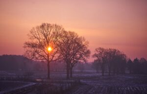 sunrise, country life, agriculture-3546172.jpg